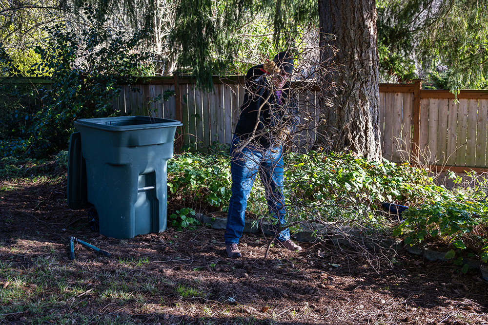 Entretien extérieur (jardinage, tonte…)